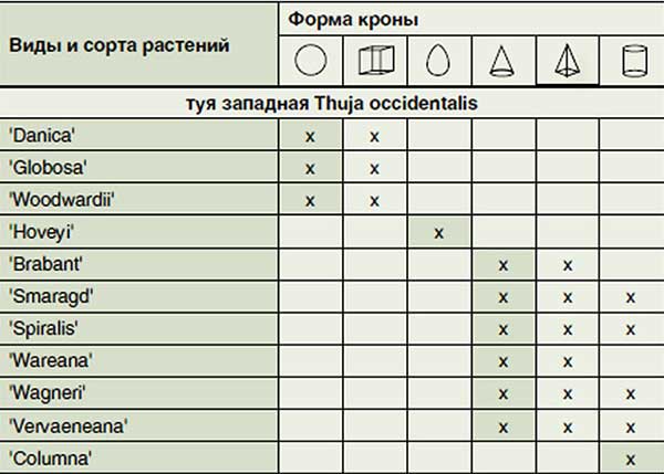forma_obrezki.jpg