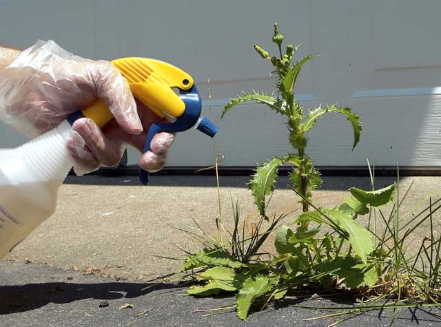 herbicide__.jpg