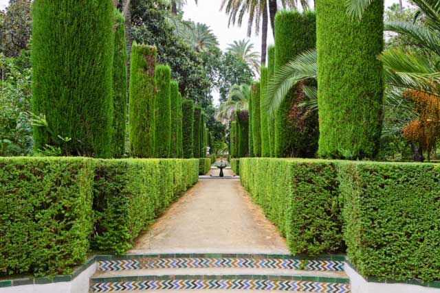 topiary_rifma_640p.jpg