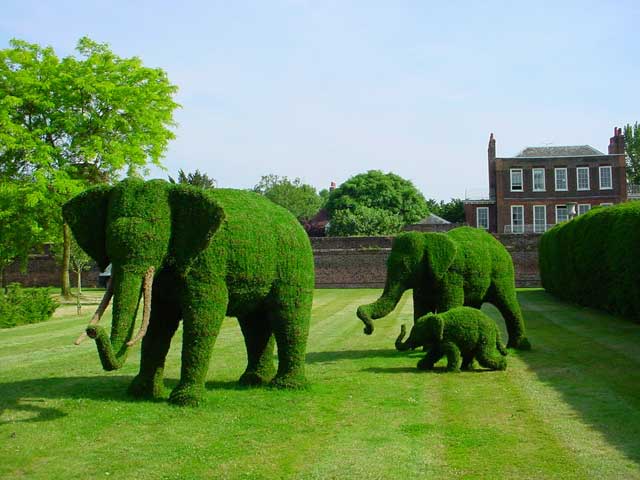 Elephant-Family_640p.jpg