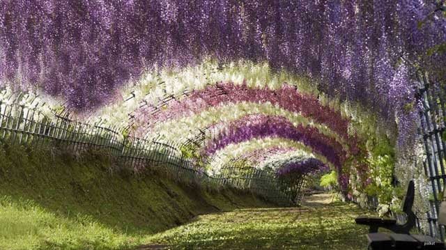 tunnel.jpg