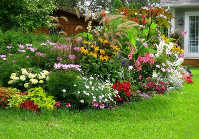mixed-border-004.jpg
