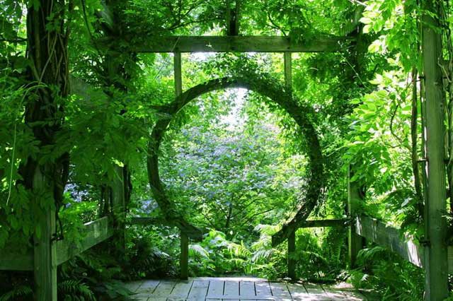 pergola.jpg